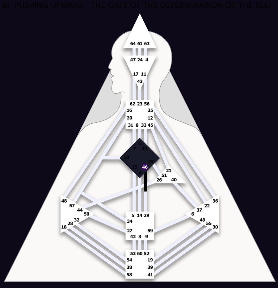 Human Design bodygraph with Gate 46 highlighted, the Sun transit gate